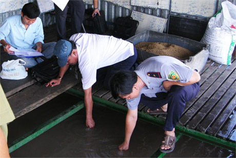 Kiểm soát chất lượng làng bè nuôi cá điêu hồng (ảnh chụp xã Thới Sơn,  TP. Mỹ Tho).