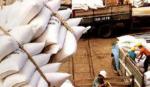 Tháng 5-2012: Xuất khẩu gạo Việt Nam đạt kỷ lục