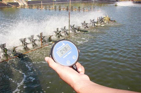 Luôn duy trì quạt nước và kiểm tra hàm lượng oxy trong ao và phòng chống dịch bệnh. Ảnh: agriviet.com