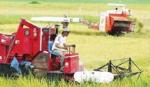 ĐBSCL giữ vững mục tiêu xuất khẩu 6-7 triệu tấn gạo/năm