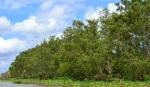 Triển khai các giải pháp chống suy giảm rừng đặc dụng