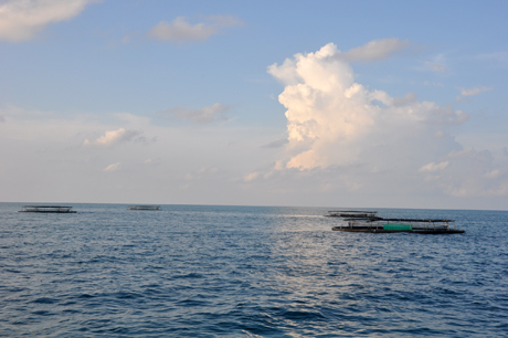 Mô hình nuôi cá bè lồng ở Đảo Đá Tây thuộc quần đảo Trường Sa của Việt Nam trên Biển Đông. Ảnh: Phùng Long
