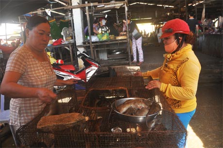 Khách hàng (phải) mua chuột tại vựa chuột của bà Đặng Thị Minh.