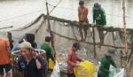 500 tỷ đồng “tiếp sức” người nuôi cá tra