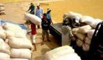 Đánh giá lại việc thực hiện mua tạm trữ lúa gạo
