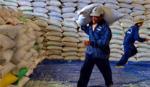 Xuất gạo của Việt Nam sẽ đạt lớn nhất từ trước đến nay