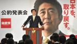 Bầu cử Hạ viện Nhật: LDP giành chiến thắng áp đảo