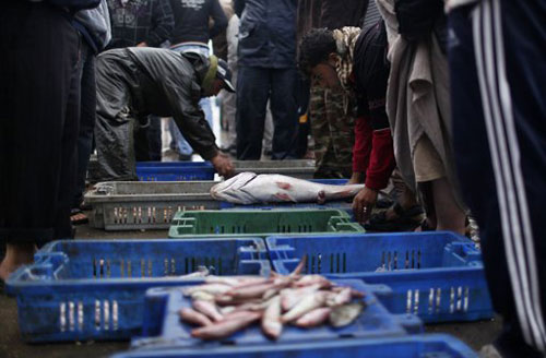 Chợ cá của người Palestine ở Gaza. Ảnh: Reuters