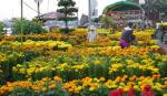 Chợ hoa Tết giữa lòng thành phố