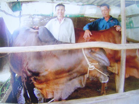 Vợ chồng anh Đinh Văn Sáu trong khu vực chăn nuôi của gia đình.