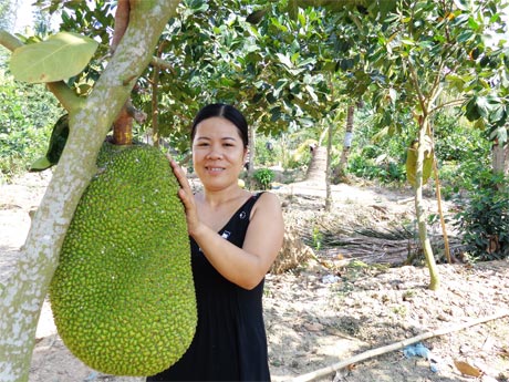 Chị Trang vui mừng bên cây mít “siêu sớm, siêu trái” mà ông Năm Lình tặng để thoát nghèo.