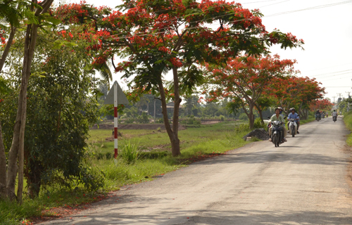 Một đoạn đường ở huyện Tân Phú Đông đã được trải nhựa.