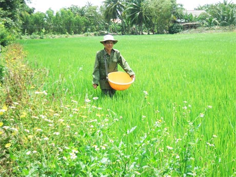Phát triển các mô hình sản xuất nông nghiệp - một trong những giải pháp xã Tân Phú đang tập trung thực hiện để xây dựng thành công xã NTM.