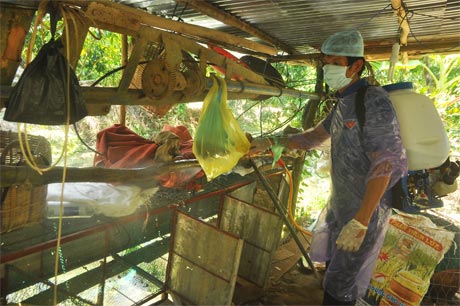 Phun tiêu độc khử trùng tại xã Tân Thanh, huyện Cái Bè.