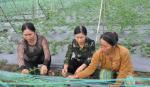 Hội LHPN xã Yên Luông: Giúp phụ nữ sử dụng nguồn vốn vay hiệu quả