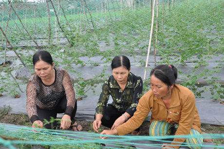 Cán bộ  phụ nữ ấp và xã  đến khảo sát việc sử dụng vốn của  hội viên  phụ nữ  Cao Thị  Mỹ Trang.