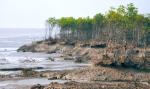 Cần xây dựng chiến lược phòng chống xói lở bờ biển Việt Nam