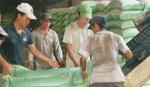Việt Nam tăng giá sàn gạo xuất khẩu