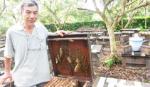 Nghề nuôi ong lấy mật: Đam mê mới thành công
