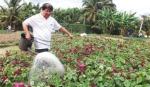 Tiền Giang hướng đến nền nông nghiệp xanh, sạch