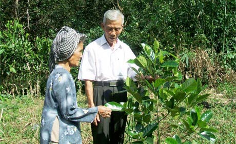 Ông Nguyễn  Văn Lình,  Chủ tịch  Hội Chữ thập đỏ  xã Thanh Hòa  bên “Khu vườn  tình thương”  của một hộ nghèo ở ấp Thanh Sơn.