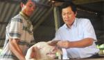 TS. Thái Quốc Hiếu: Chăn nuôi theo mô hình ANSH sẽ hạn chế dịch bệnh