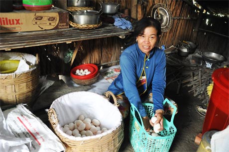 Chị Nguyệt Minh phấn khởi với thu nhập từ vịt đẻ.
