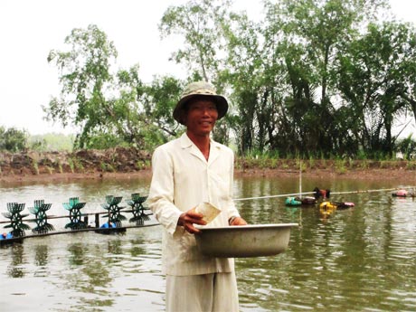 Anh Huỳnh Văn Phương chuyển nghề nuôi tôm.