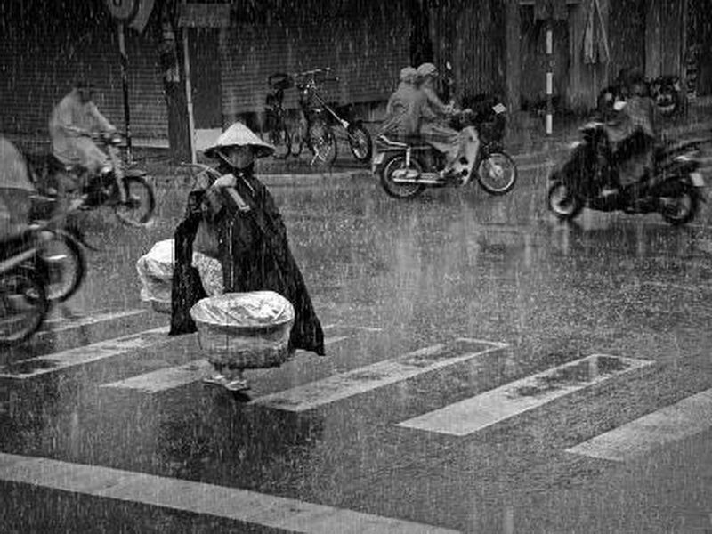 Nhiếp ảnh gia Trương Minh Điền đã vượt qua các nhiếp ảnh gia từ 91 quốc gia trên thế giới để giành giải Nhất cuộc thi Ảnh CGAP 2013 với tác phẩm gây xúc động lòng người 'Chiều mưa.'