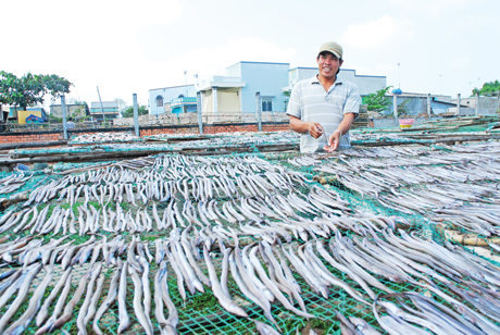Anh Lê Văn Ngai, Khu phố chợ 2, thị trấn Vàm Láng phơi cá kiềm tẩm để bán Tết.