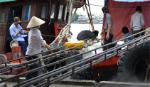 Ban hành quy chế quản lý cảng cá trên địa bàn tỉnh