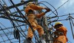 Các hành vi bị nghiêm cấm trong bảo vệ an toàn lưới điện cao áp