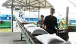 Việt Nam trúng thầu bán 800.000 tấn gạo cho Philippines