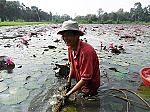 Anh Nguyễn Minh Toàn: Ruộng sâu thì trồng bông súng!