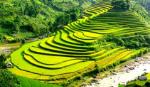Việt Nam vào danh sách 20 quốc gia đẹp nhất thế giới