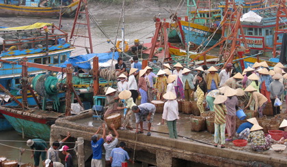 Chuyển hải sản ở cảng cá Vàm Láng.