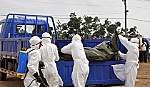 Thế giới phải mất 6 tháng để kiểm soát dịch Ebola