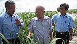 Cố Phó Thủ tướng Nguyễn Công Tạn:Suốt đời đau đáu vì nông nghiệp, nông dân