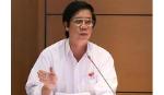 ĐBQH Nguyễn Văn Danh:Đề nghị giữ nguyên hệ thống tổ chức HĐND như hiện nay