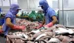 Việt Nam không bán phá giá filet cá tra, cá ba sa vào Hoa Kỳ