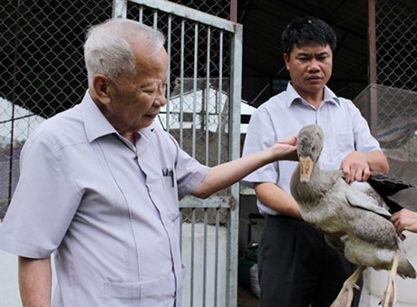 Với ông Nguyễn Công Tạn, làm nông nghiệp không thể chỉ lý thuyết suông.