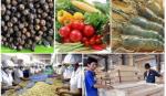 Xuất khẩu nông sản thu về gần 31 tỷ USD