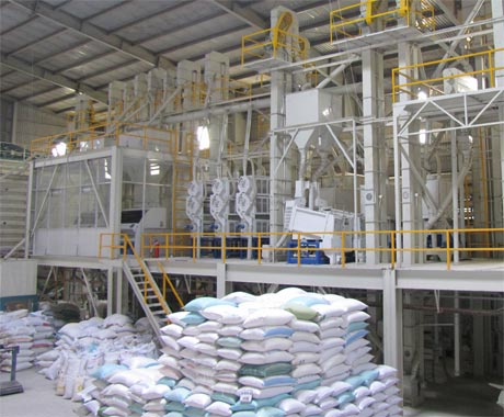 Dây chuyền chế biến gạo xuất khẩu của Tigifood.
