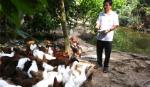 Anh Nguyễn Văn Láng: Điển hình nông dân vượt khó