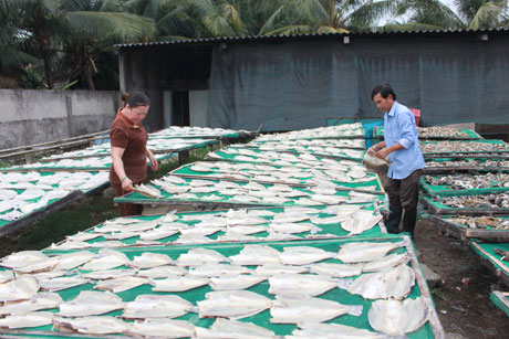 Chị Nguyễn Thị Phượng, xã Tân Mỹ Chánh tăng sản lượng cá khô phục vụ tết.