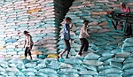 Mua tạm trữ 1 triệu tấn gạo từ 1-3-2015