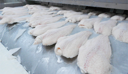 Chế biến cá tra đông lạnh xuất khẩu tại một doanh nghiệp trong KCN Mỹ Tho. Ảnh: Vâ