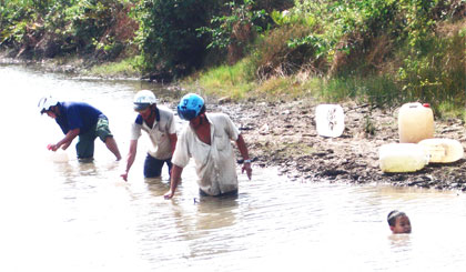 Người dân đến ao nước bỏ hoang lấy nước về phục vụ sinh hoạt trong gia đình.