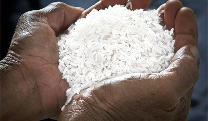 Hạt gạo của nông dân làm ra đang bị chia quá nhiều phần. Ảnh: Duy Bằng