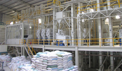 Dây chuyền chế biến gạo xuất khẩu của công ty lương thực Tiền Giang. Ảnh: Vân Anh